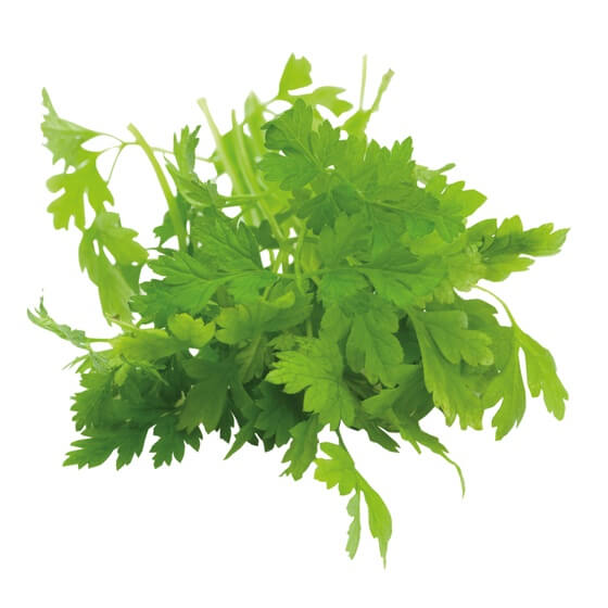 Kerbel frisch 150g/Schale DE