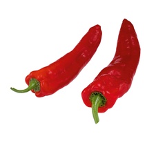 Paprika Bio rot spitz KL2 200g ES