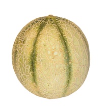 Cantaloupemelonen BR KL1 ca.1,1kg/Stück 6Stück/KT