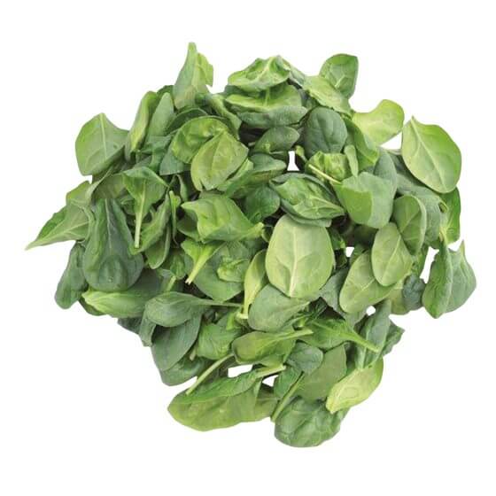 Baby-Spinat küchenfertig 300g GSH EP