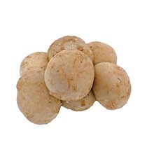 Portobello Pilze (Grillpilze) DE 1,5kg