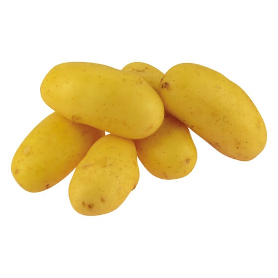 Kartoffeln Mittel IL lose  35-50mm