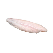 Pangasiusfilet TK 120-170g 4kg All-Fish