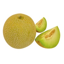 Melonen Galiamelonen ES KL1 ca.1kg/Stück 6Stück/Karton