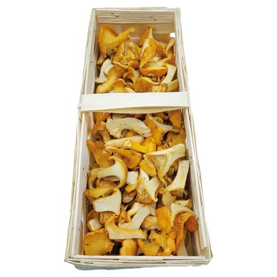 Pfifferlinge Pfannenfertig 1 KG LT
