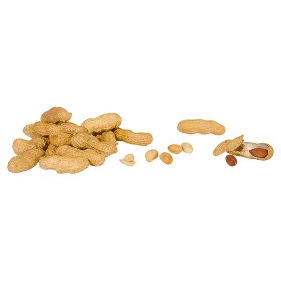 Erdnüsse Jumbo 750g EG EP