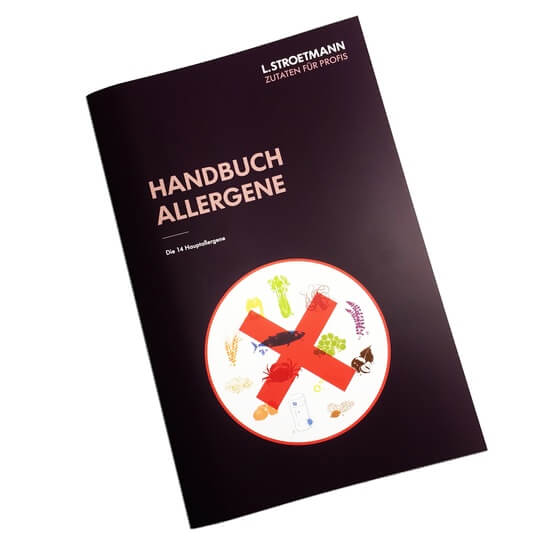 Handbuch Allergene  L. Stroetmann