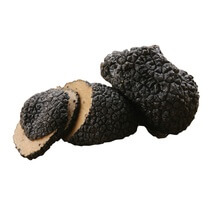 Sommertrüffel BG  Tuberosum aestivum