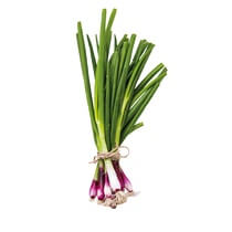 Lauchzwiebeln rot DE EP