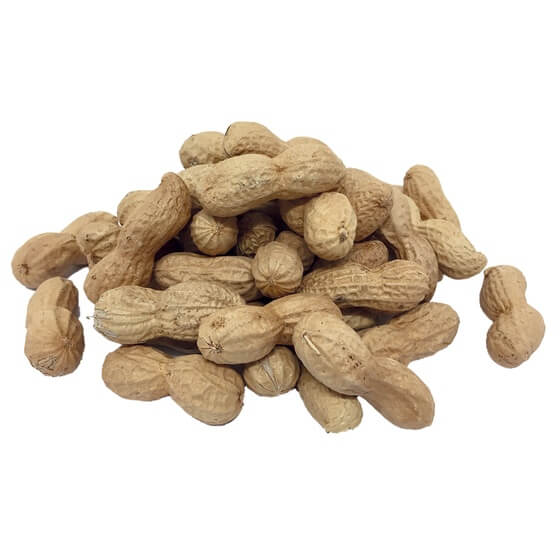Erdnüsse Jumbo mit Schale 2xgeröstet IL 9-12Stück 2,5kg
