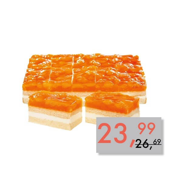 Mandarinen-Schnitte geschnitten 20 Portionen TK 2,9kg