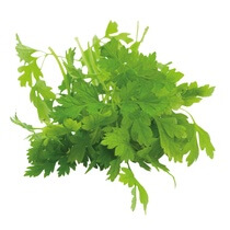 Kerbel frisch 150g/Schale DE