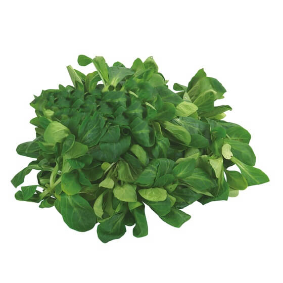 Feldsalat lose BE KL1 1kg EP