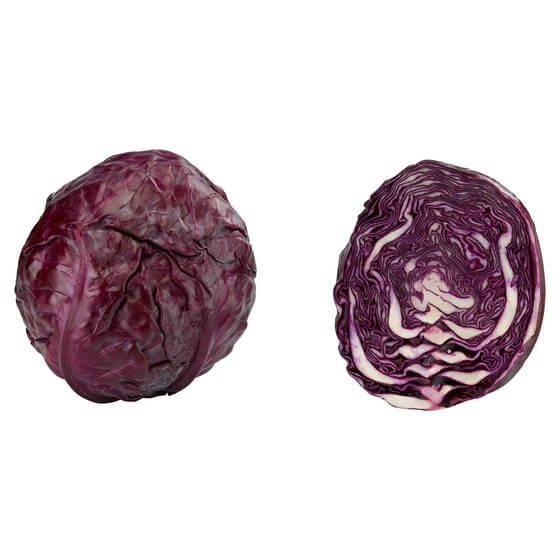 Rotkohl ES KL1 DE