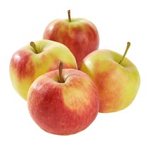 Äpfel Elstar DE KL1 70mm+ ca. 200g/Stück gelegt