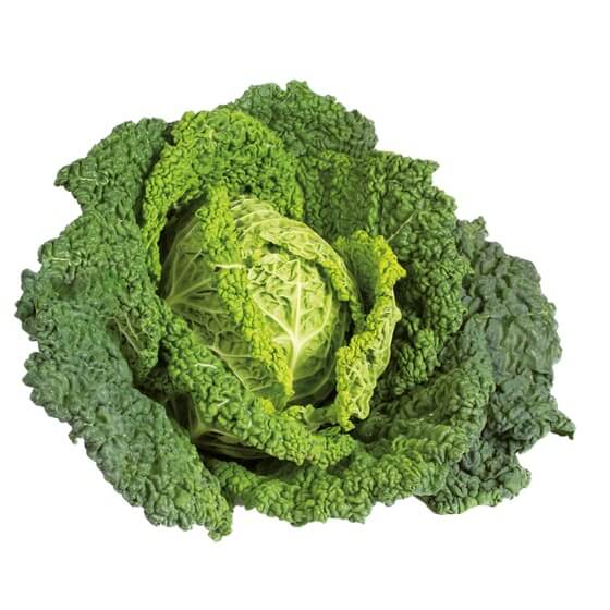 Wirsingkohl DE KL 1