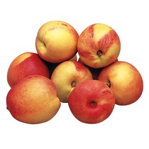 Nektarinen gelbfleischig ZA KL1 40mm+ ca.140g/Stück