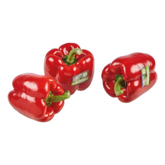 Paprika ROT DE KL1  "MÜNSTERLAND"