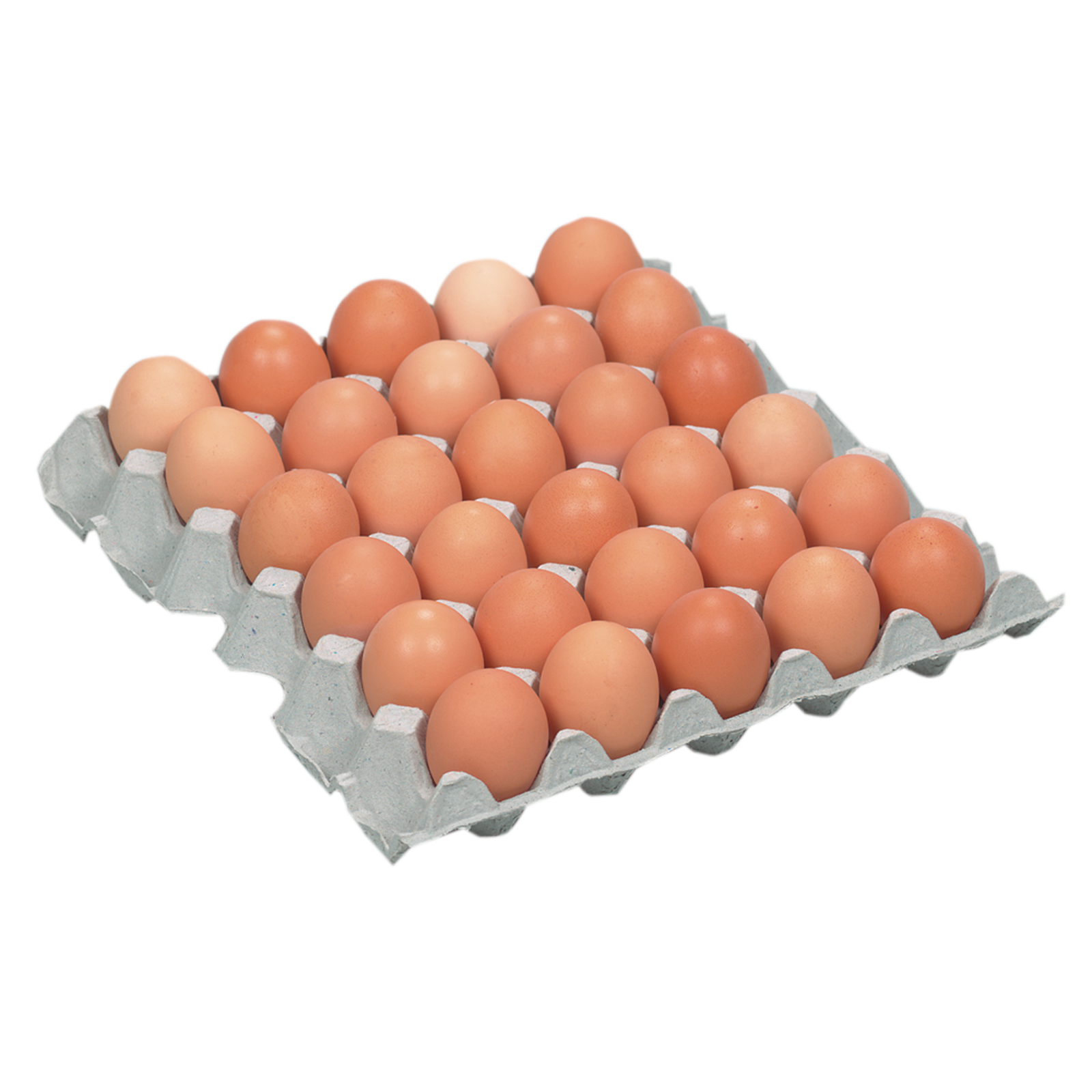 Eier Columbus Frischei Bodenhaltung lose Gr.M 30er