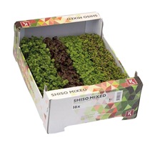 Kresse Shisokresse Mix NL