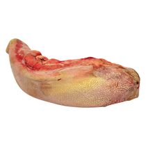 Rinderzunge roh,natur, getaut ca.1,4kg