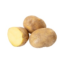 Kartoffeln festkochend DE Belana 10kg-Sack