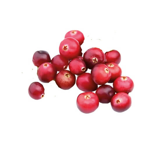 Cranberries/Kranichbeeren 200g/Schale US