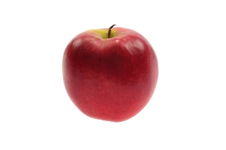 Äpfel Jonagored KL1 1 Stück