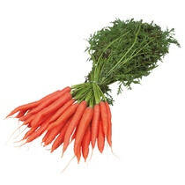 Bundmöhren EP KL1 DE