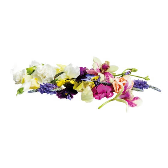 Essbare Blüten Mix NL 8-10St/Schale  ca20g/Schale