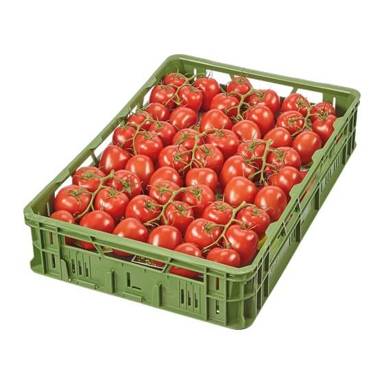 Tomaten Romastrauchtomaten Münsterland DE KL1 6KG EP