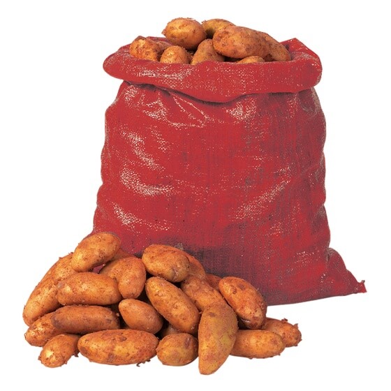 Kartoffeln Bernina vorwiegend festkochend DE  10kg