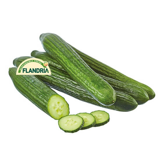 Gurken Stück BE KL1 kalibriert 350-400g/St