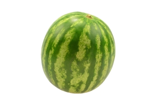 Wassermelonen KL1 1 Stück