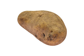 Kartoffeln festkochend DE Capucine 10kg EP