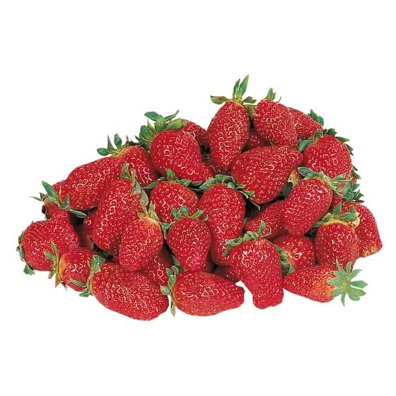 Erdbeeren ES KL1 500g/Schale