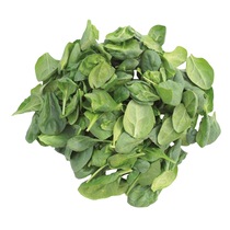 Baby-Spinat küchenfertig 300g GSH EP