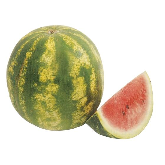 Wassermelonen kernarm CR KL1