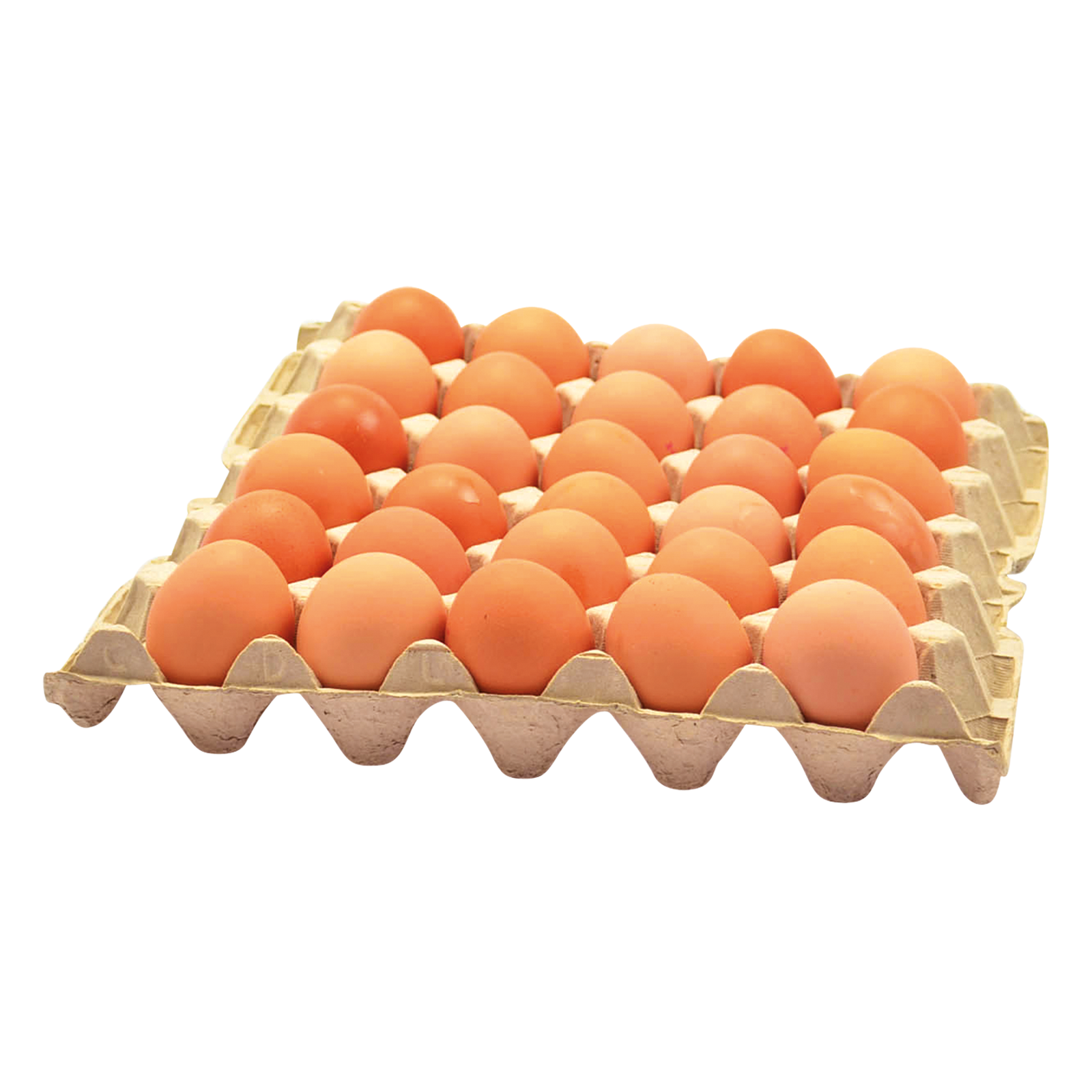 Eier Columbus Frischei Bodenhaltung braun lose Gr.M 180er