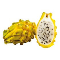 Pitahaya/Drachenfrucht gelb EC 9Stück/Karton
