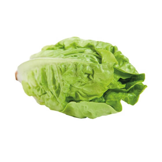 Salat-Herzen / Mini Romana grün ES KL1 EP 2 St/Pk