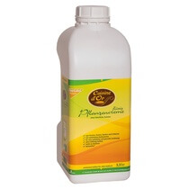 Pflanzencreme flüssig 3,3l Flasche Cuisine d'Or