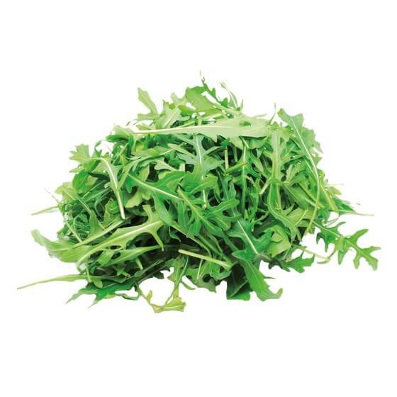 Rucola Salat IT 75g Schale