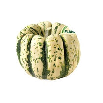 Speisekürbis Chamäleon EP DE