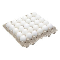 Eier gekocht und lackiert Bodenhaltung 180Stück M Eipro