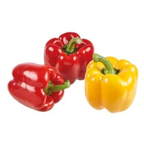 Paprika Mix (2 oder 3 Farben) ES KL1 500gr EP