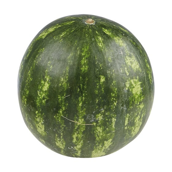Mini Wassermelonen IT KL1