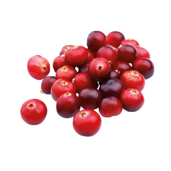 Cranberries/Kranichbeeren 200g/Schale US
