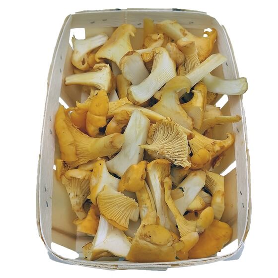 Pfifferlinge Pfannenfertig 250g