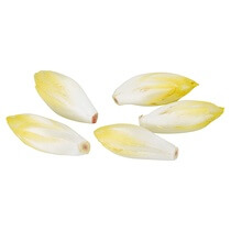 Chicoree NL          500GR KL1